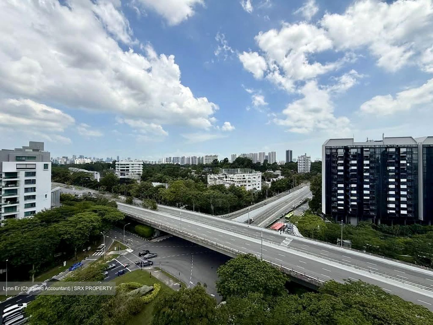 Leedon Green (D10), Condominium #580792621